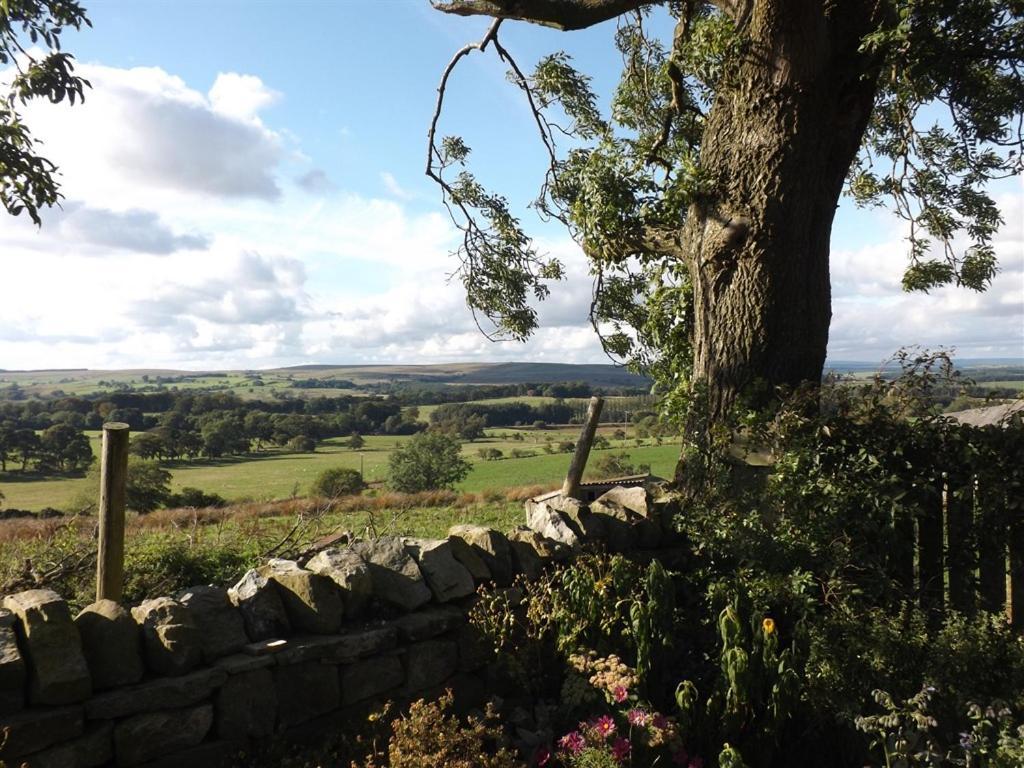 Hillis Close Farm Cottage Haltwhistle Esterno foto